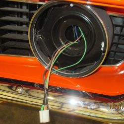 cruz   img 1744   10072021  