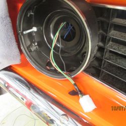 cruz   img 1744   10072021  