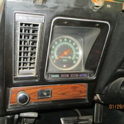 cruz   img 2695   01292021  