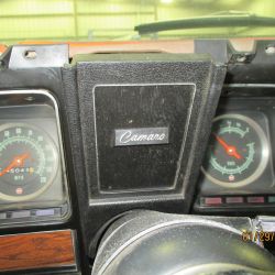 cruz   img 2695   01292021  