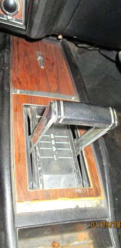 cruz   img 2695   01292021  