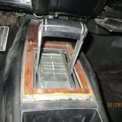 cruz   img 2695   01292021  