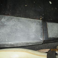 cruz   img 2695   01292021  