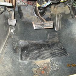 cruz   img 2695   01292021  