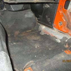 cruz   img 2695   01292021  