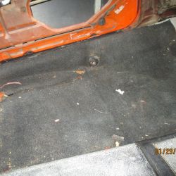 cruz   img 2695   01292021  