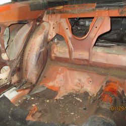 cruz   img 2695   01292021  