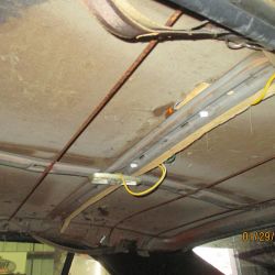 cruz   img 2695   01292021  