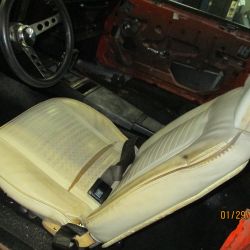 cruz   img 2695   01292021  