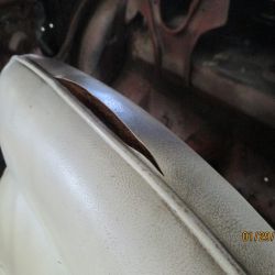 cruz   img 2695   01292021  