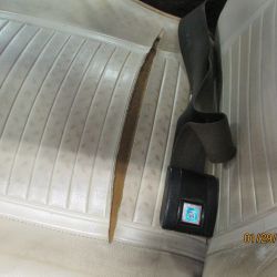 cruz   img 2695   01292021  