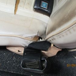 cruz   img 2695   01292021  