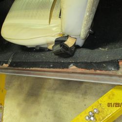 cruz   img 2695   01292021  