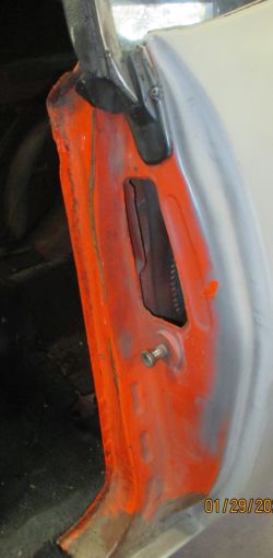 cruz   img 2695   01292021  