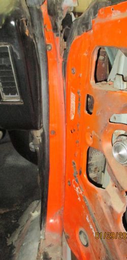 cruz   img 2695   01292021  