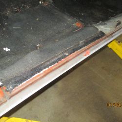 cruz   img 2695   01292021  