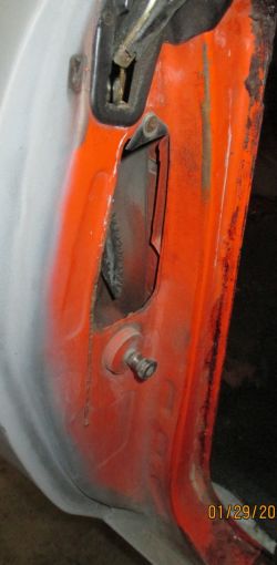 cruz   img 2695   01292021  