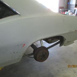 cruz   img 2695   01292021  