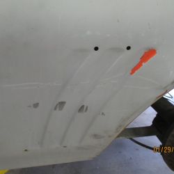 cruz   img 2695   01292021  