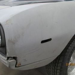 cruz   img695   01292021  