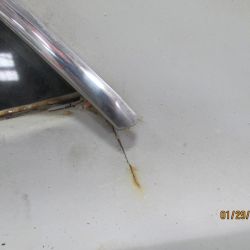 cruz   img 2695   01292021  