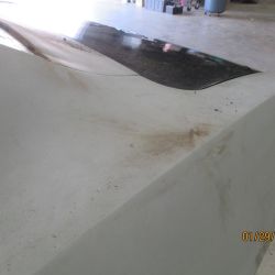 cruz   img 2695   01292021  