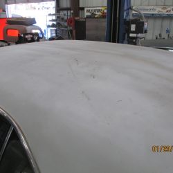 cruz   img 2695   01292021  