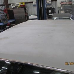 cruz   img 2695   01292021  