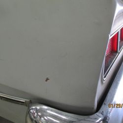 cruz   img 2695   01292021  