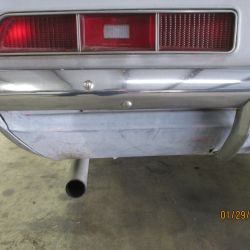 cruz   img 2695   01292021  