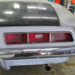 cruz   img 2695   01292021  