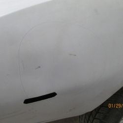 cruz   img 2695   01292021  