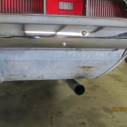 cruz   img 2695   01292021  