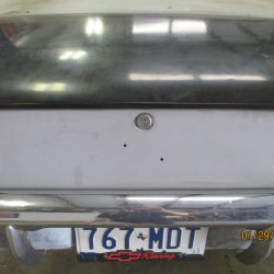 cruz   img 2695   01292021  