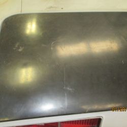 cruz   img 2695   01292021  