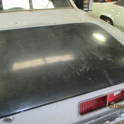 cruz   img 2695   01292021  