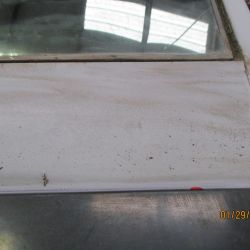 cruz   img 2695   01292021  