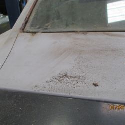 cruz   img 2695   01292021  