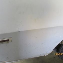 cruz   img 2695   01292021  