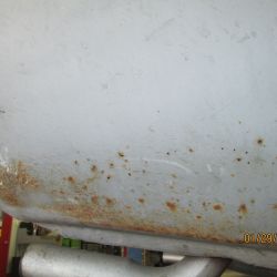 cruz   img 2695   01292021  