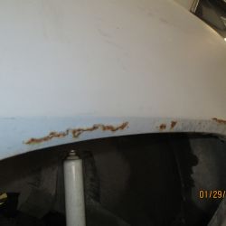 cruz   img 2695   01292021  