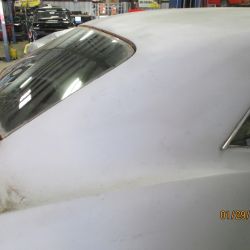 cruz   img 2695   01292021  