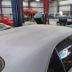 cruz   img 2695   01292021  