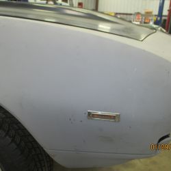 cruz   img 2695   01292021  