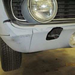 cruz   img 2695   01292021  