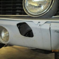 cruz   img 2695   01292021  