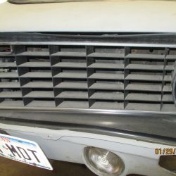 cruz   img 2695   01292021  