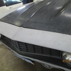 cruz   img 2695   01292021  