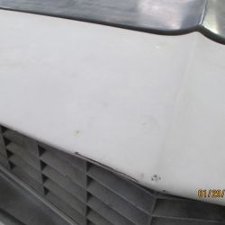 cruz   img 2695   01292021  