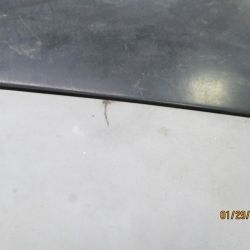 cruz   img 2695   01292021  